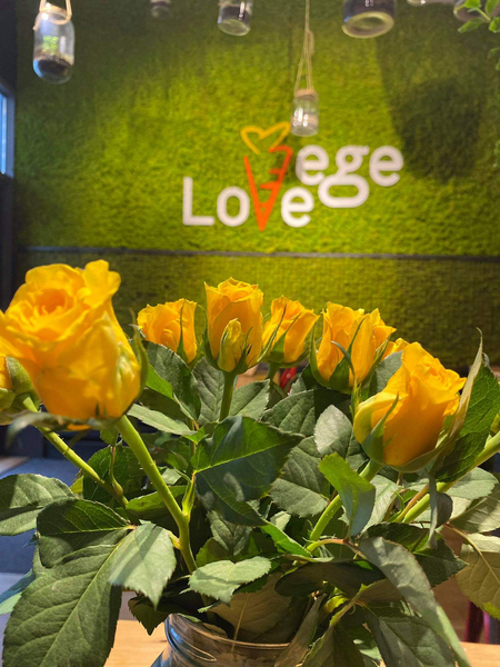 Zdjęcie na okładce dla Vege Love